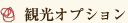 観光オプション