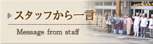 スタッフから一言