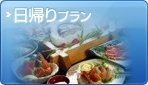 日帰りプラン