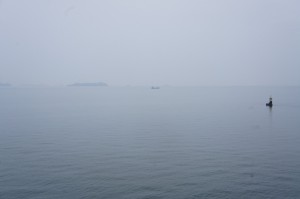 s__DSC0973