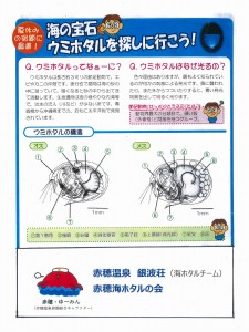 海ホタルを探しに行こう！_JALAN_200623