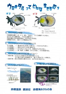 海ホタル観察会2021