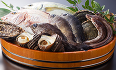 瀬戸内海で採れる魚たち