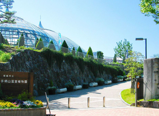 姫路市立手柄山温室植物園