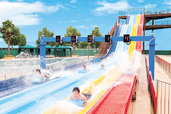 姫路セントラルパークリゾートプール画像