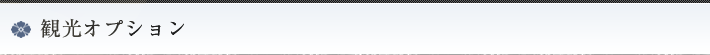 観光オプション