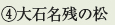 ④大石名残の松