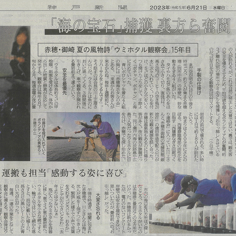 神戸新聞に「海ホタル観察会」の取材をして頂きました♪