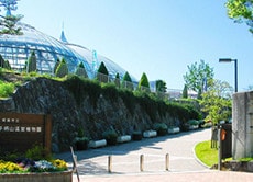 姫路市立手柄山温室植物園