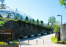 姫路市立手柄山温室植物園