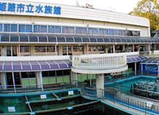姫路市立水族館