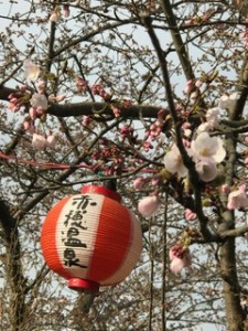 赤穂御崎の桜４月５日