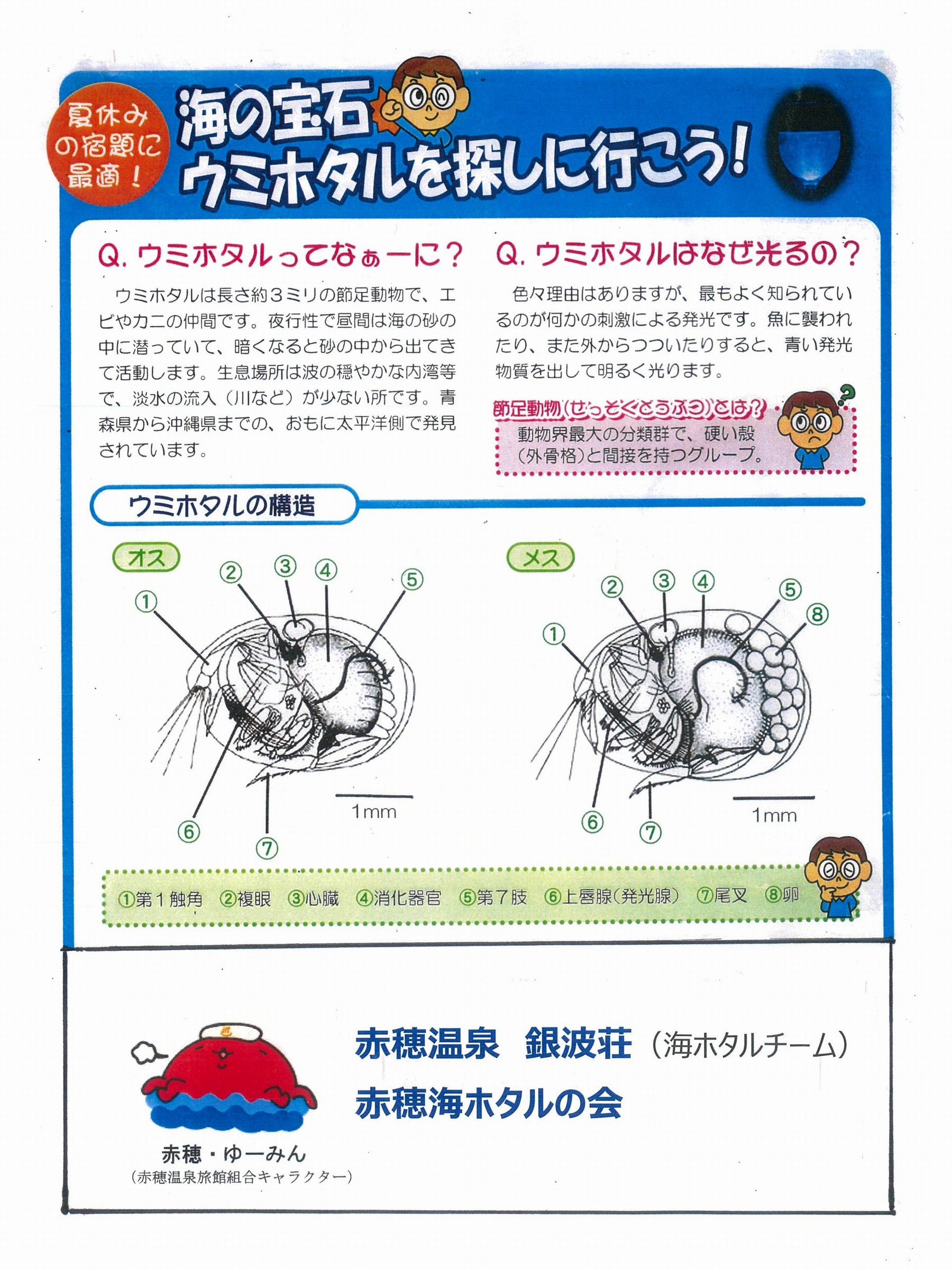 記事イメージ