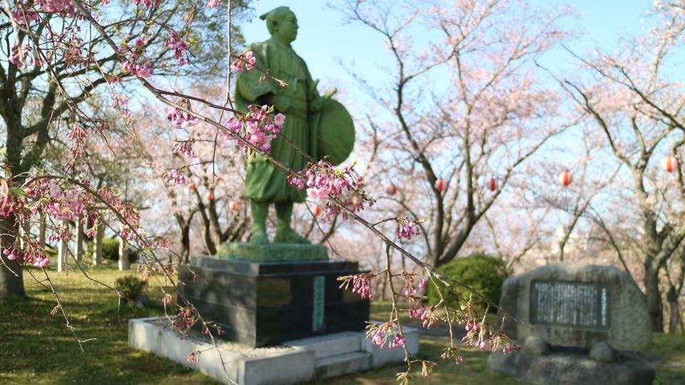 記事イメージ