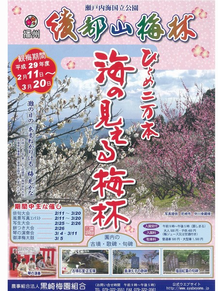 記事イメージ