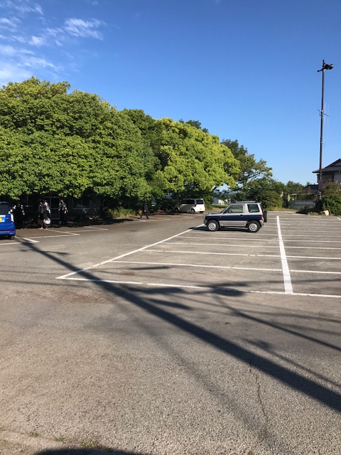 記事イメージ