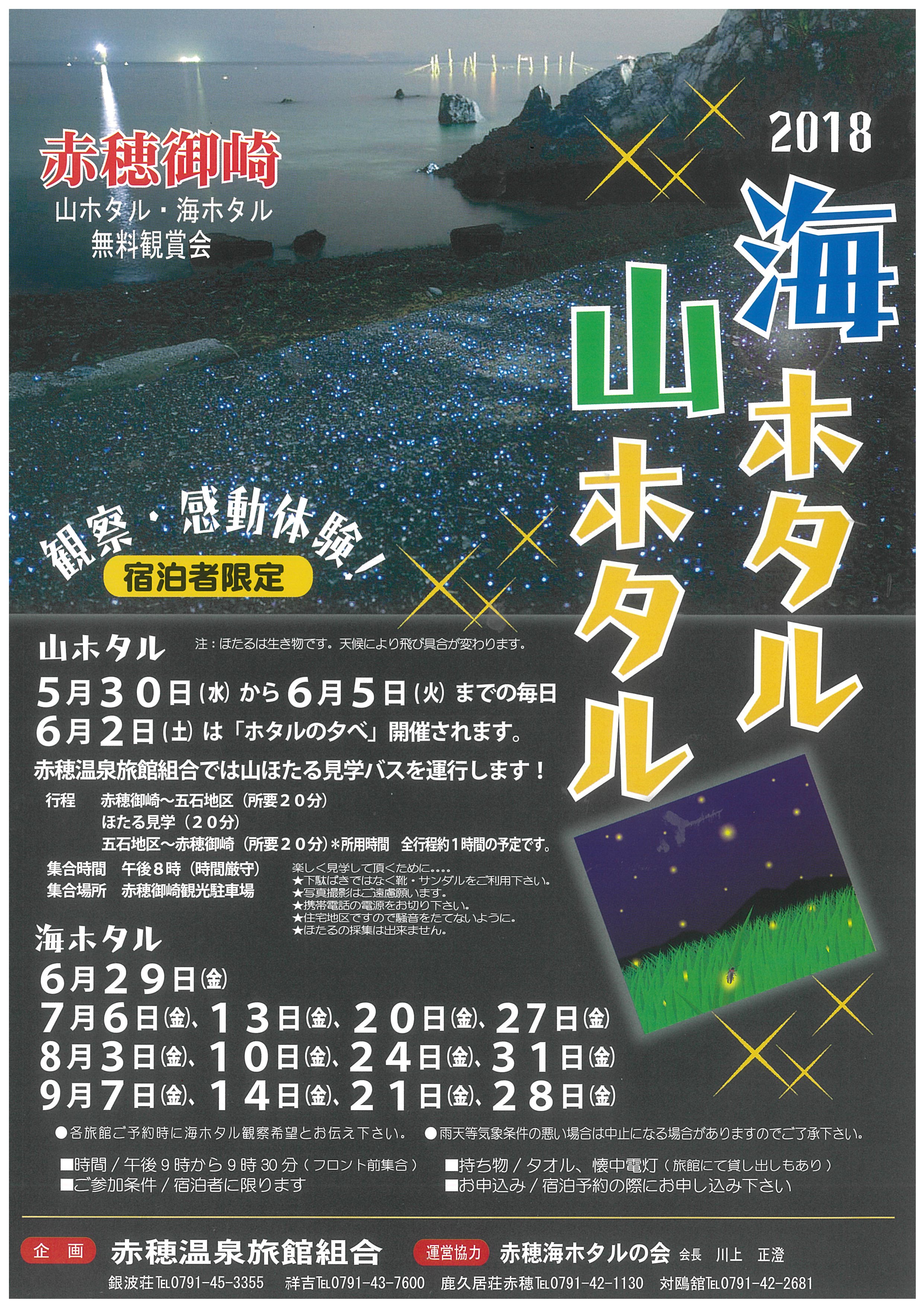 記事イメージ